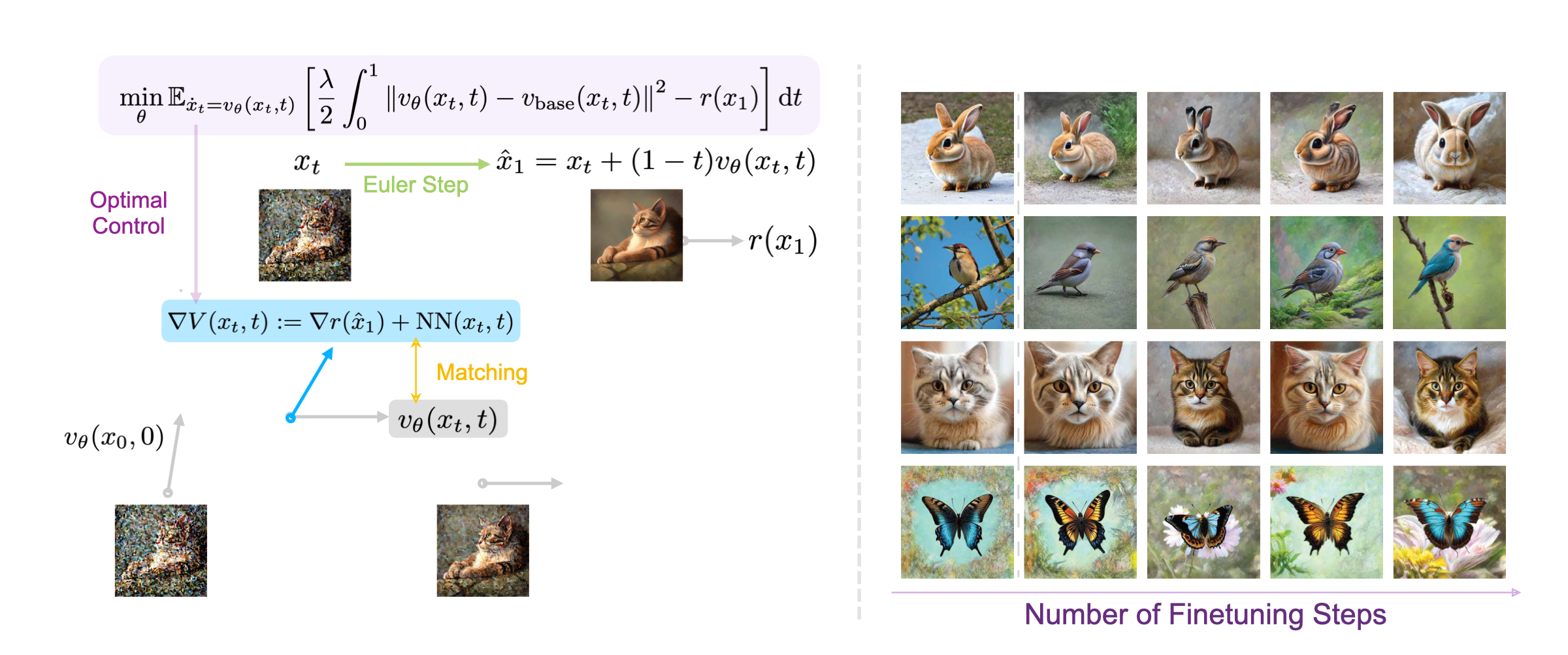 VGG-Flow pipeline and finetuning trajectory visualization